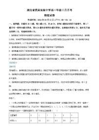 湖北省武昌实验中学2024-2025学年高一上学期10月月考物理试卷（Word版附解析）