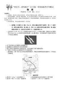 广西壮族自治区贵百河-武鸣高中2024-2025学年高一上学期10月月考物理试题