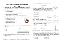 河北省邯郸市五校联考2024-2025学年高一上学期10月期中物理试题