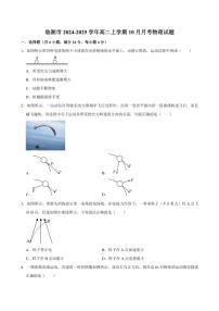 湖南省岳阳市临湘市2024～2025学年高二上学期10月月考物理试题（含答案）