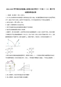 湖北省恩施土家族自治州利川市第一中学2024-2025学年高三上学期期中考试模拟物理试卷