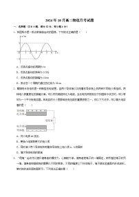 湖南省岳阳市岳阳县第一中学2024-2025学年高二上学期10月月考物理试题