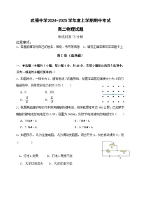 河北省衡水市武强中学2024-2025学年高二上学期期中考试物理试题