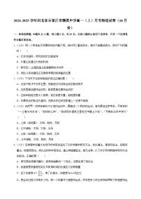 河北省石家庄市精英中学2024-2025学年高一上学期10月月考物理试卷