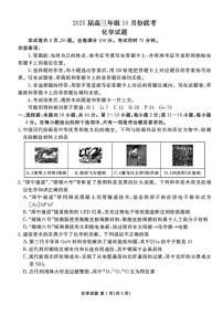 物理丨衡水金卷广东省2025届高三上学期10月联考物理试卷及答案