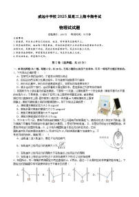 四川省内江市威远中学校2024-2025学年高三上学期期中考试物理试题