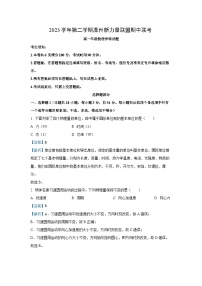 浙江省温州新力量2023-2024学年高一下学期期中联考物理试卷(解析版)