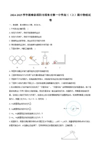 2024-2025学年湖南省邵阳市邵东市第一中学高三（上）期中物理试卷（含答案）