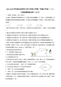 2024-2025学年湖北省武汉市华中师范大学第一附属中学高三（上）月度检测物理试卷（10月）（含答案）