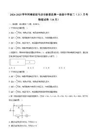 2024-2025学年河南省驻马店市新蔡县第一高级中学高二（上）月考物理试卷（10月）（含解析）