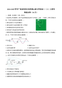 2024-2025学年广东省深圳市东莞佛山部分学校高三（上）大联考物理试卷（10月）（含答案）