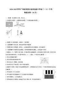 2024-2025学年广东省深圳市盐田高级中学高二（上）月考物理试卷（10月）（含答案）