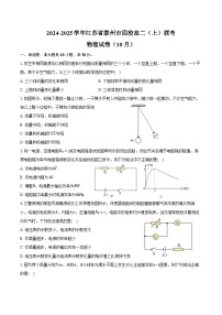 2024-2025学年江苏省泰州市四校高二（上）联考物理试卷（10月）（含答案）