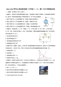 2024-2025学年山东省青岛第二中学高二（上）第一次月考物理试卷（含答案）