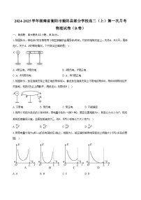 2024-2025学年湖南省衡阳市衡阳县部分学校高二（上）第一次月考物理试卷（B卷）（含答案）