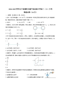 2024-2025学年辽宁省朝阳市建平县实验中学高二（上）月考物理试卷（10月）（含答案）