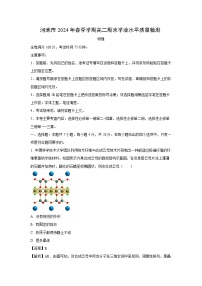 广西壮族自治区河池市2023-2024学年高二下学期7月期末物理试卷(解析版)