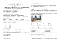 河北省衡水市阜城县阜城实验中学2024-2025学年高一上学期11月月考物理试题
