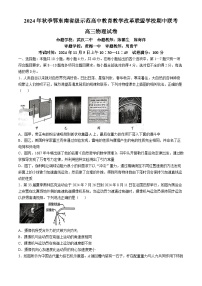 湖北省鄂东南省级示范高中教育教学改革联盟2024-2025学年高三上学期期中考试物理试题(无答案)