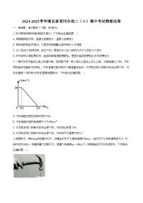 湖北省黄冈市2024-2025学年高三上学期期中考试物理试卷