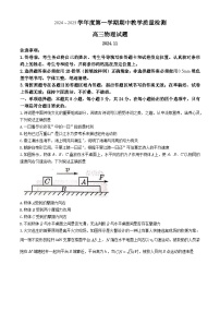 山东省聊城市2024-2025学年高三上学期期中教学质量检测物理试题(无答案)