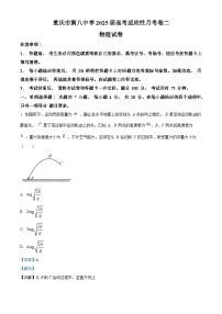 重庆市第八中学2024-2025学年高三上学期10月月考物理试卷（Word版附解析）