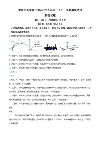 重庆市杨家坪中学2024-2025学年高三上学期半期模拟考试物理试卷（Word版附解析）