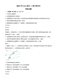 四川省内江市威远中学2024-2025学年高二上学期期中考试物理试卷（Word版附解析）