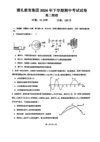 湖南省长沙市雅礼中学2024-2025学年高二上学期期中考试物理试卷