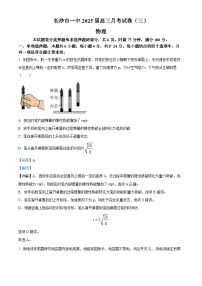 湖南省长沙市第一中学2024-2025学年高三上学期11月月考物理试卷（Word版附解析）