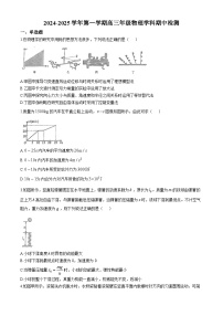 天津市汇文中学2024-2025学年高三上学期期中考试物理试题(无答案)