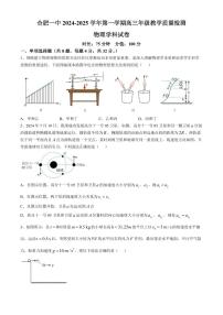 2025届合肥一中高三上学期期中教学质量检测物理试卷+答案