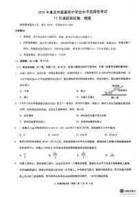 重庆市2024-2025学年高三上学期11月期中物理试题