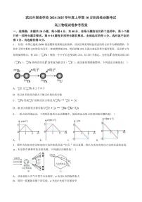 物理丨湖北省武汉外国语学校2025届高三上学期11月阶段性诊断考试物理试卷及答案