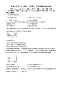 四川省成都市树德中学2024-2025学年高二上学期期中考试物理试卷（Word版附答案）