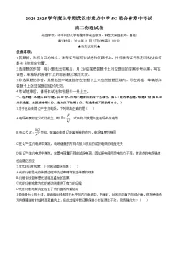 湖北省武汉市重点中学5G联合体2024-2025学年高二上学期11月期中考试物理试卷（Word版附答案）