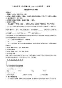 上海市复旦大学附属中学2024-2025学年高二上学期期中考试物理试卷(无答案)