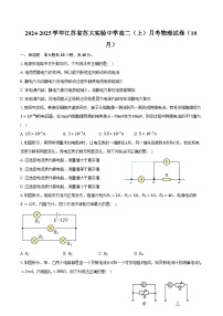 2024-2025学年江苏省苏大实验中学高二（上）月考物理试卷（10月）（含答案）