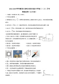 2024-2025学年黑龙江省哈尔滨市尚志中学高二（上）月考物理试卷（10月份）（含答案）