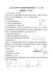 2024-2025学年广东省东莞外国语学校高三（上）月考物理试卷（10月份）（含答案）