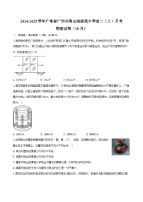 2024-2025学年广东省广州市禺山高级找中学高三（上）月考物理试卷（10月）（含答案）