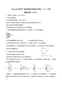 2024-2025学年广东省深圳市深圳中学高三（上）月考物理试卷（10月）（含答案）