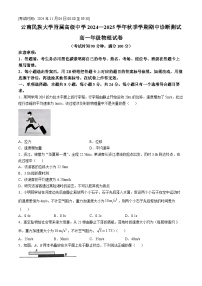 云南省云南民族大学附属高级中学2024-2025学年高一上学期期中诊断测试物理试卷(无答案)