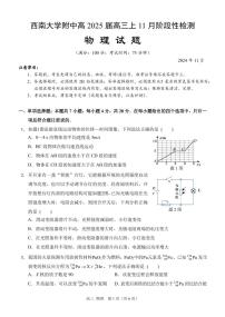 2025届西南大学附属中学高三上学期11月检测物理试卷+答案