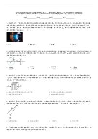 辽宁沈阳浑南区东北育才学校高三二模物理试卷(2024-2025联合)[原题+解析版]