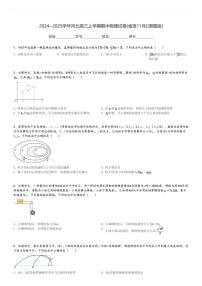 2024～2025学年河北高三上学期期中物理试卷(省级11月)[原题+解析版]