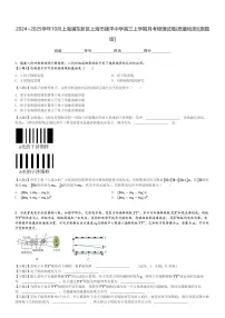 2024～2025学年10月上海浦东新区上海市建平中学高三上学期月考物理试卷(质量检测)[原题+解析版]