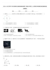 2024～2025学年10月河南周口鹿邑县鹿邑县第二高级中学高二上学期月考物理试卷(质量检测)[原题+解析版]