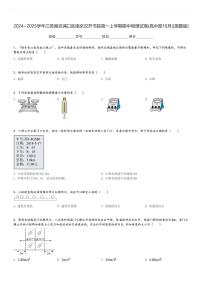 2024～2025学年江苏南京浦口区南京汉开书院高一上学期期中物理试卷(高中部10月)[原题+解析版]