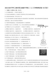 2024～2025学年上海市晋元高级中学高二（上）月考物理试卷（10月份）（含答案）